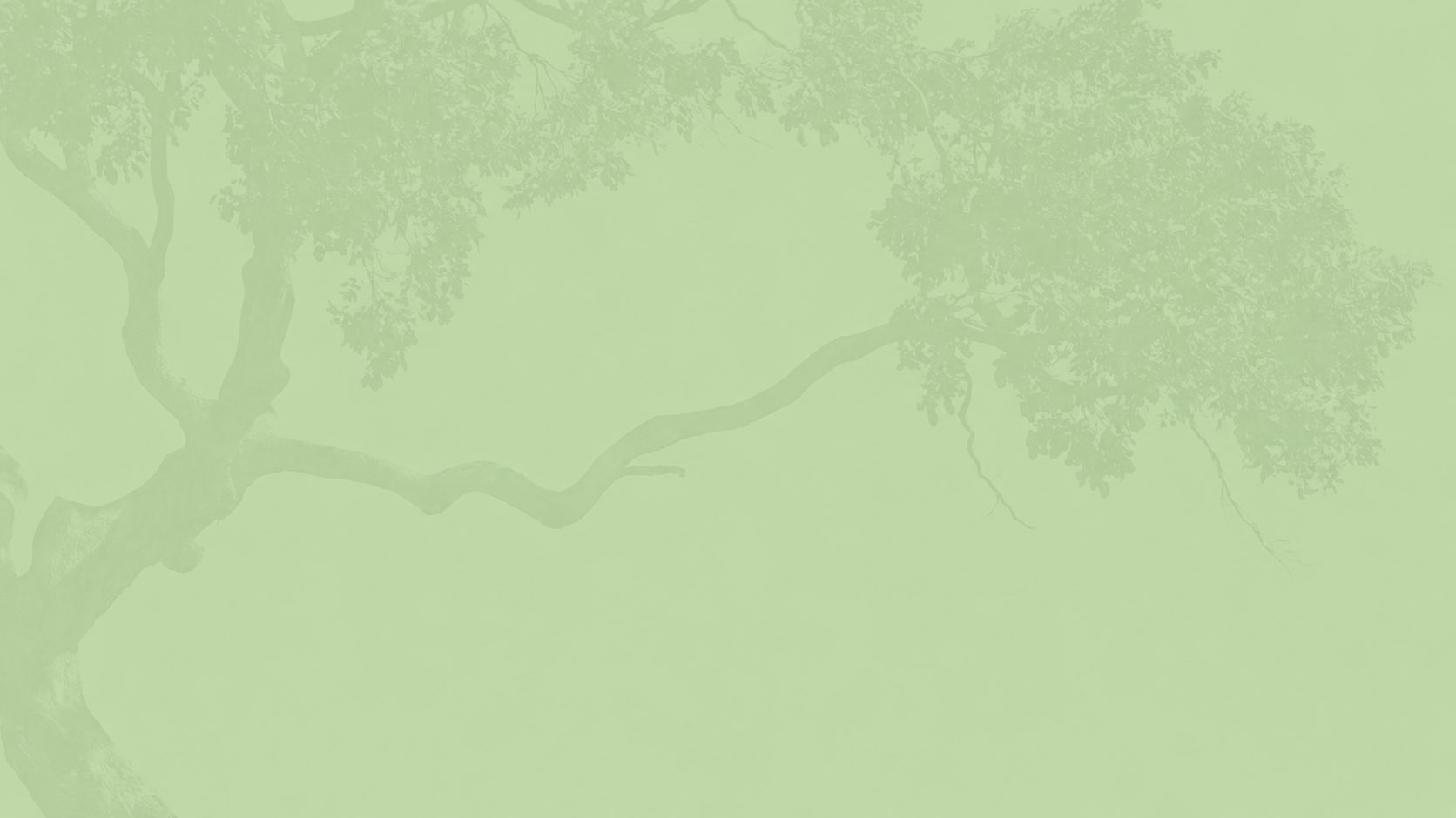 forestia-park-background-7
